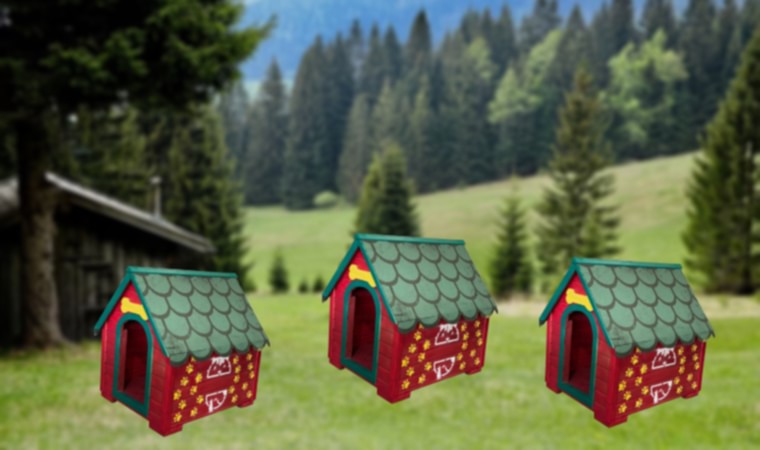 Doğal Ahşap Köpek Kulübeleri