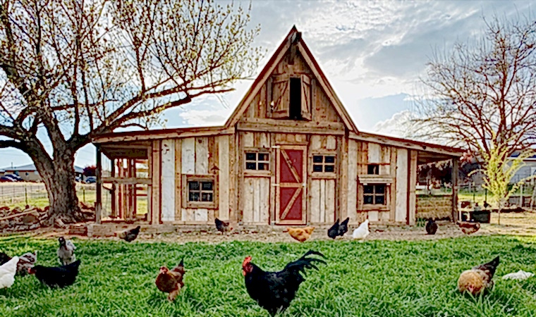 Ahşap Kanatlı Hayvan Kulübelerinin Hayvan Sağlığına Katkıları