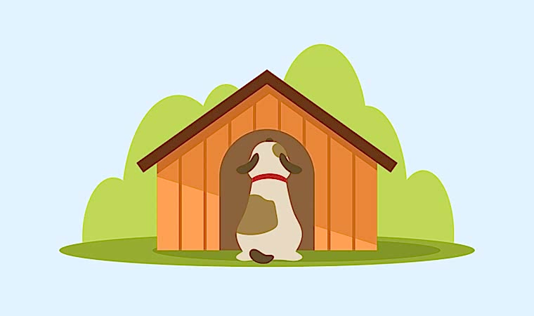 Ahşap Köpek Evlerinin ve Külübelerinin Faydaları ve Köpekleri Alıştırma Süreci