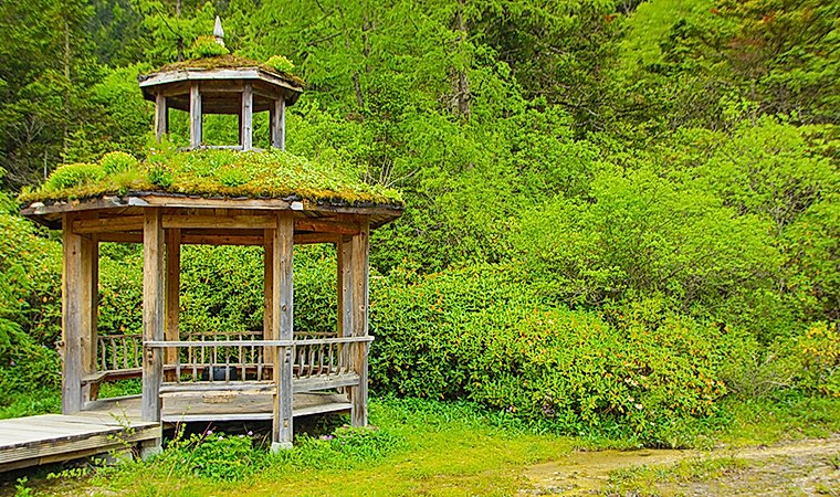 Doğanın Güzelliğini ve Huzurunu Bahçenize Taşıyın