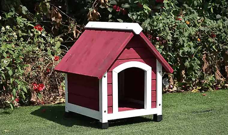 Ahşap Köpek Kulübesi