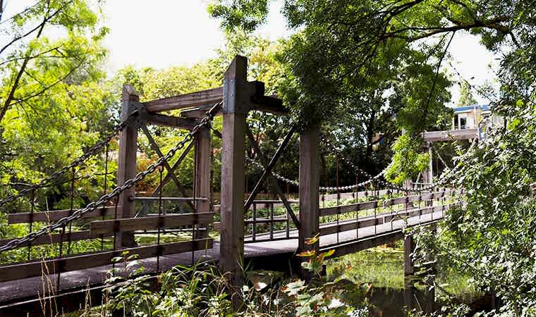 Ahşap Köprülerin Avantajları, Bakımı, Tasarımları ve İnşaatı