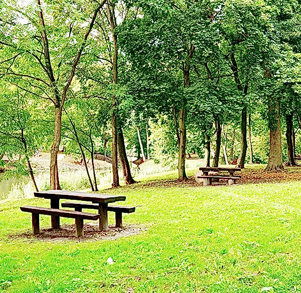 Ahşap Mesire Alanları