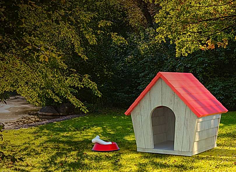 Ahşap Köpek Kulübeleri