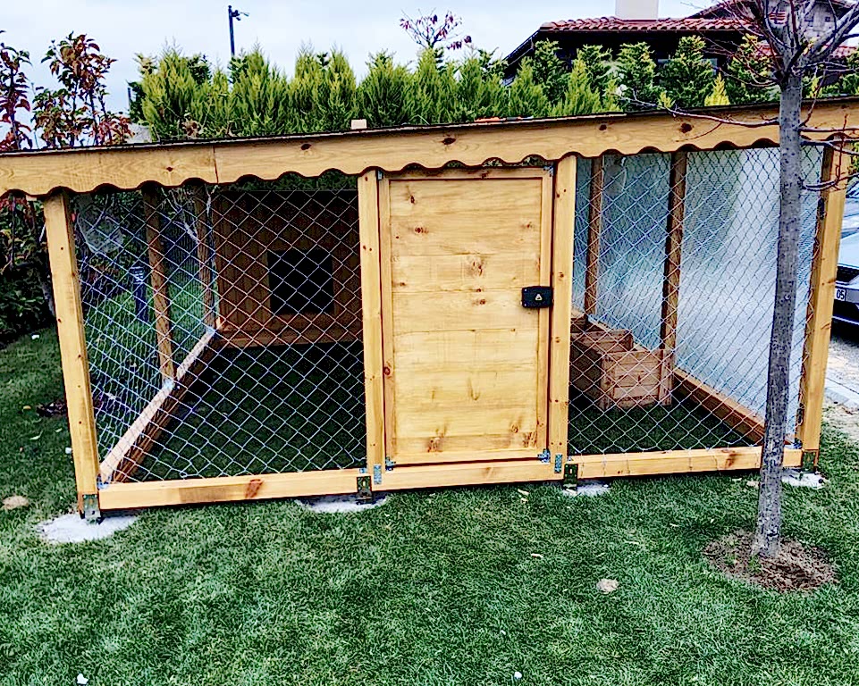 Büyükçekmece Köpek Kulübesi